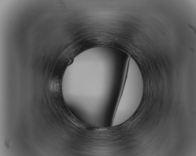 X0000092320137200709141058
