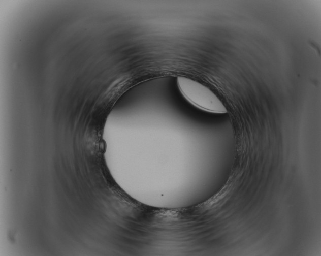 X0000092320140200709141058