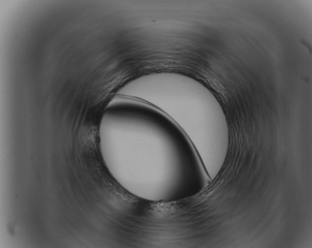 X0000092320141200709141058