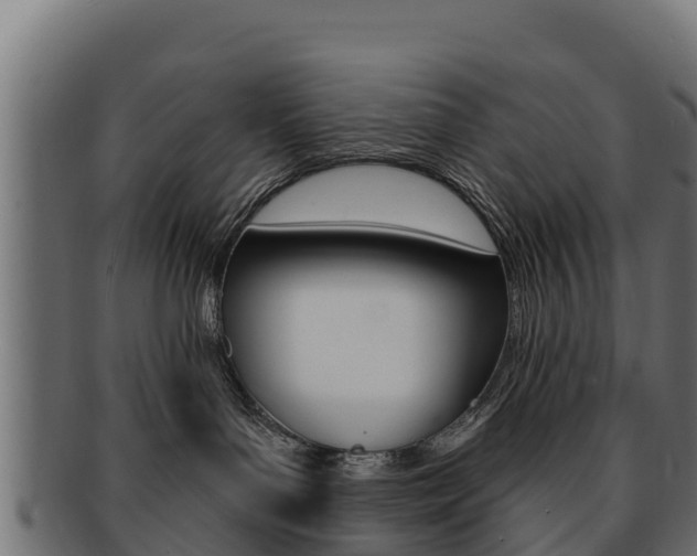X0000092320143200709141058