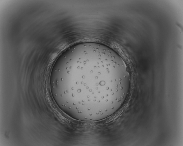 X0000092320145200709141057