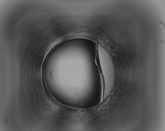 X0000092320148200709141057