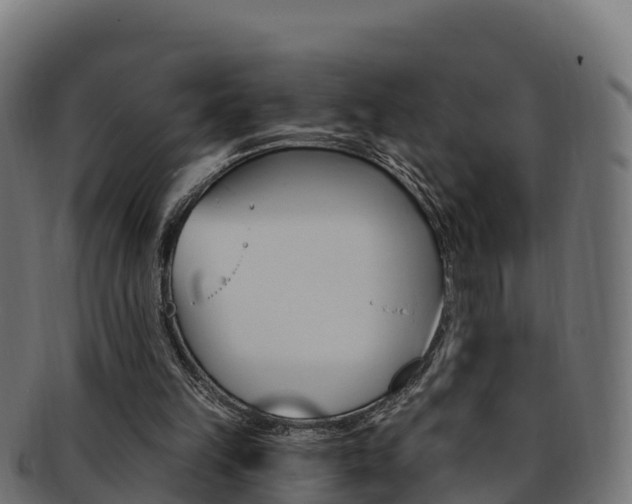 X0000092320149200709141057