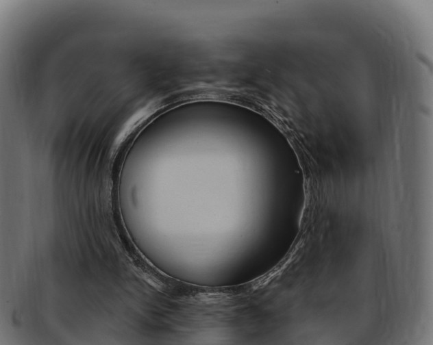 X0000092320150200709141057
