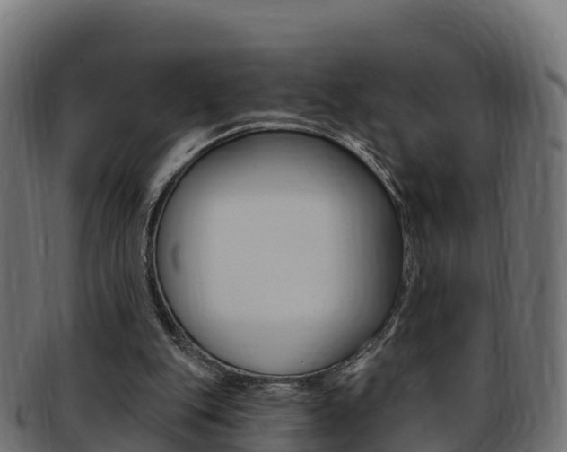 X0000092320151200709141057