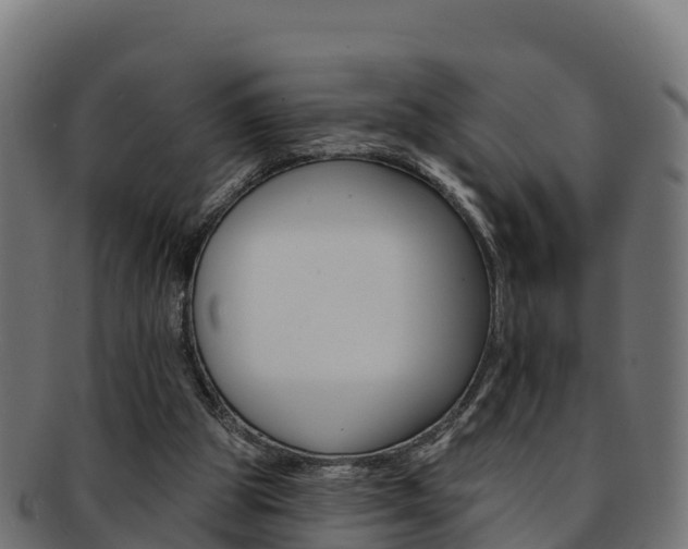 X0000092320153200709141058
