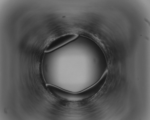 X0000092320154200709141058