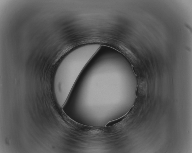 X0000092320158200709141058