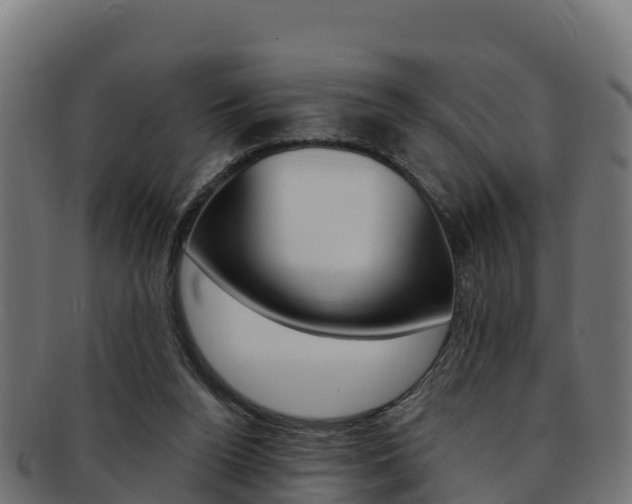 X0000092320160200709141058
