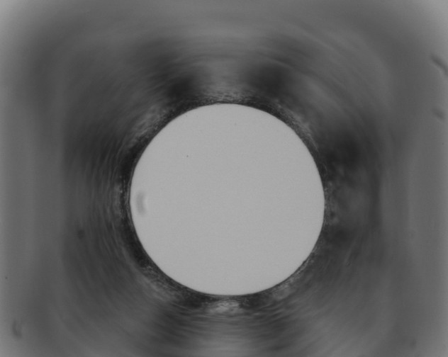 X0000092320162200709141058