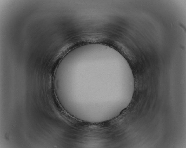 X0000092320163200709141058