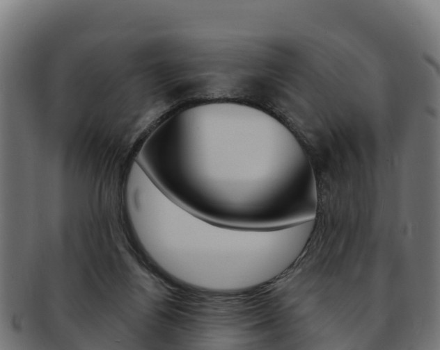 X0000092320164200709141058