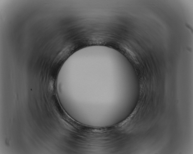 X0000092320166200709141058