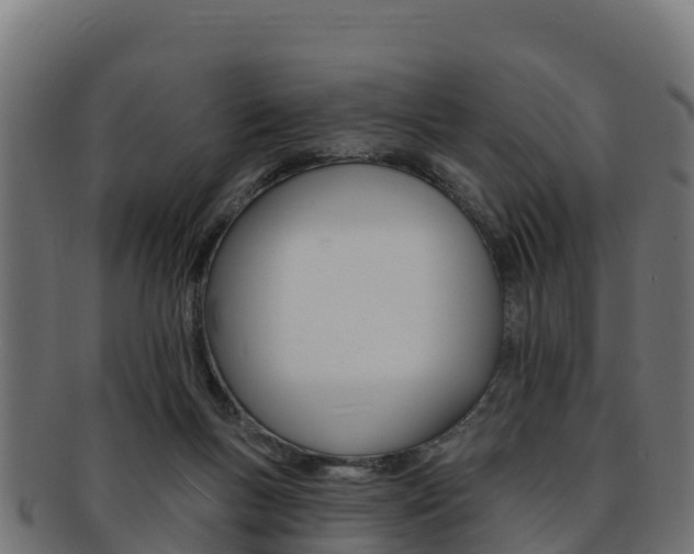 X0000092320167200709141058
