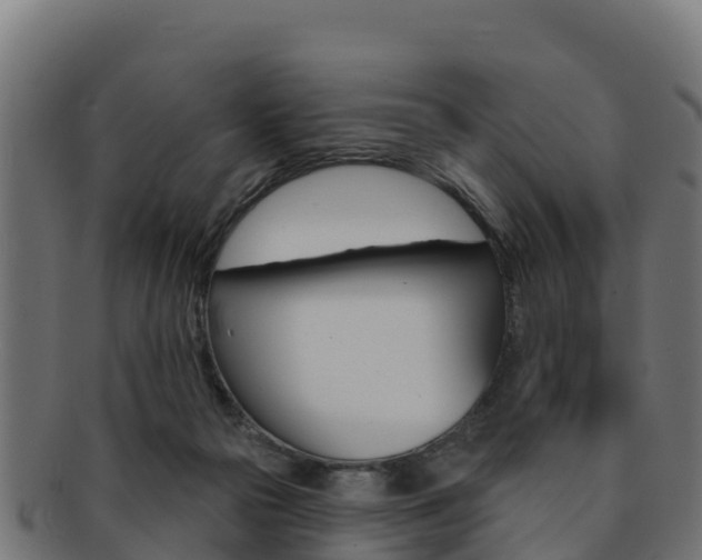 X0000092320169200709141058