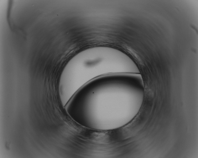 X0000092320170200709141058