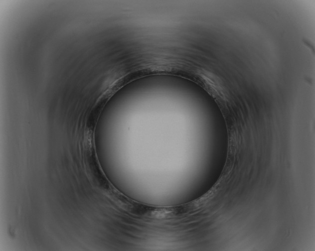X0000092320172200709141058