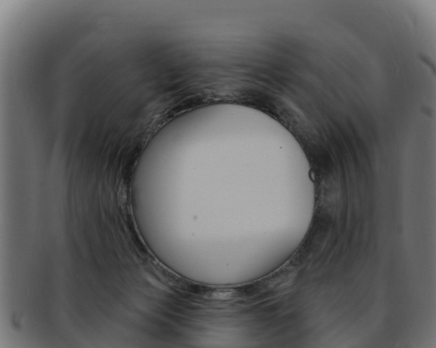 X0000092320173200709141058