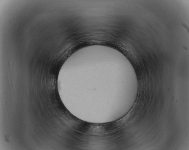 X0000092320174200709141058