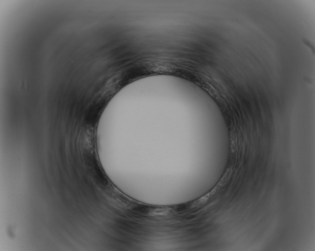 X0000092320175200709141058