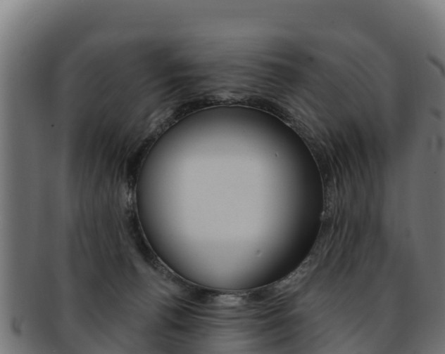 X0000092320176200709141058