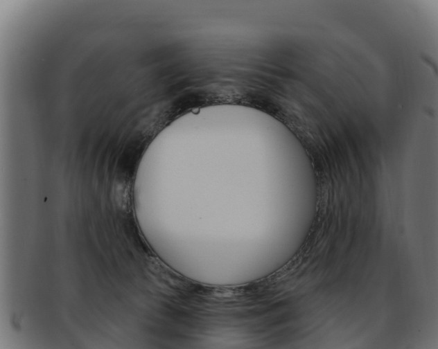 X0000092320177200709141058