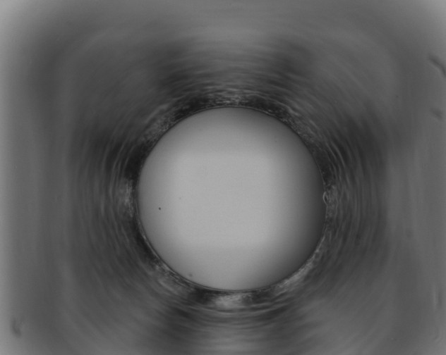 X0000092320178200709141058