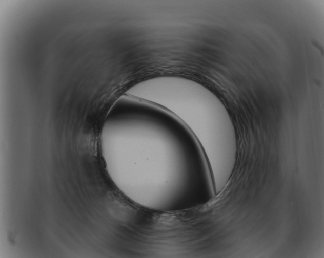 X0000092320180200709141058