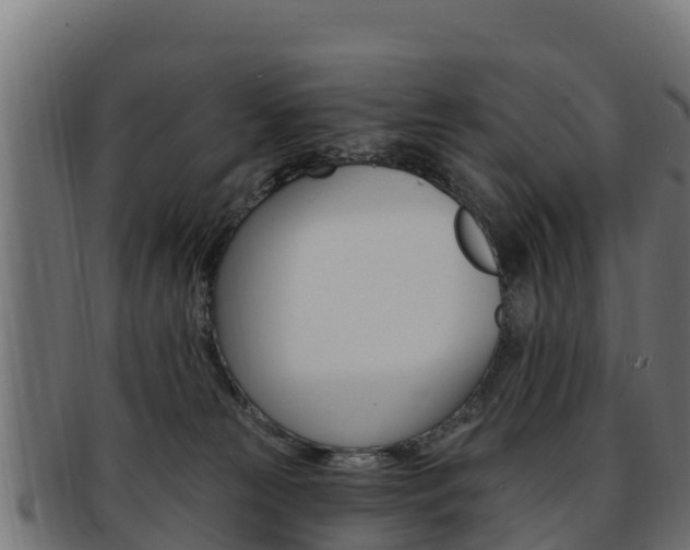 X0000092320181200709141058