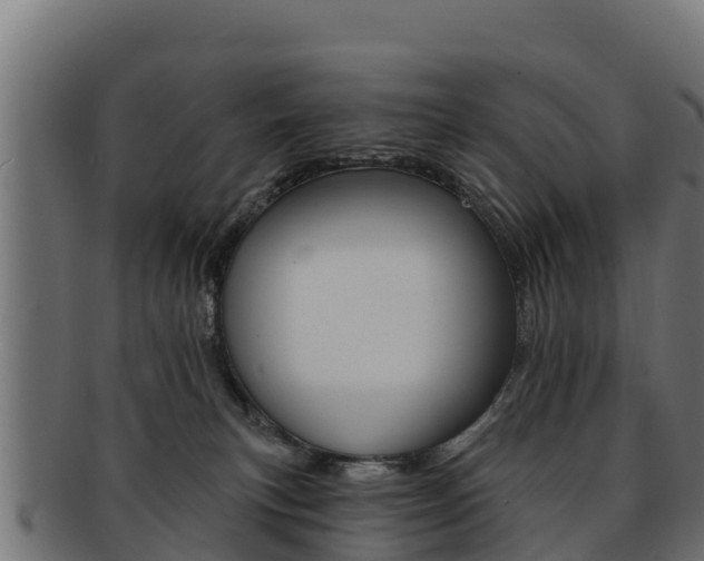 X0000092320183200709141058