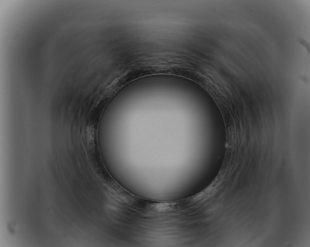 X0000092320184200709141058