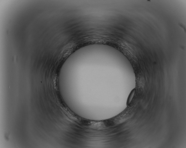 X0000092320185200709141058
