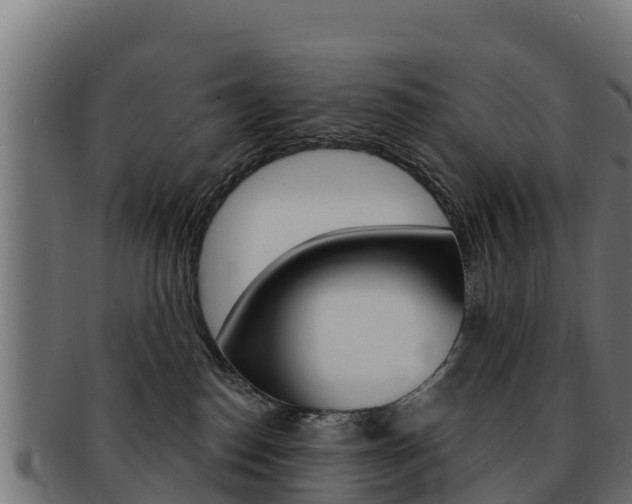 X0000092320186200709141058