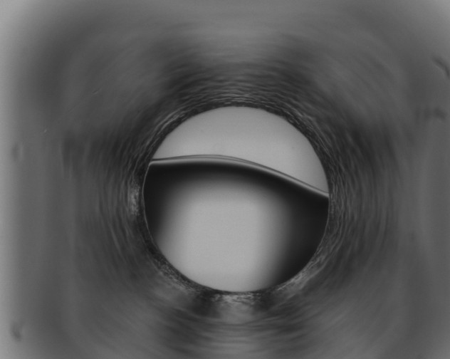 X0000092320188200709141058