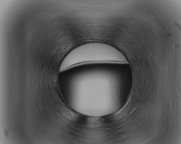 X0000092320192200709141058