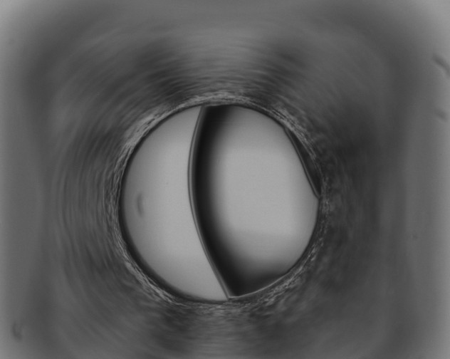 X0000092320193200709141057
