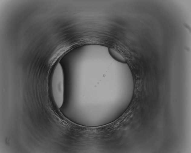 X0000092320194200709141057
