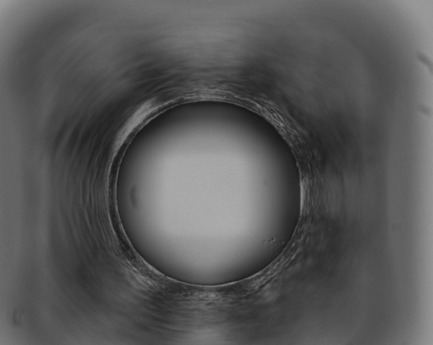 X0000092320195200709141057