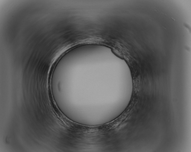X0000092320196200709141057