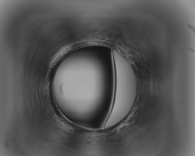 X0000092320197200709141057