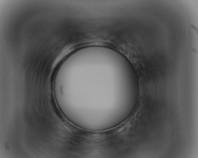 X0000092320198200709141057