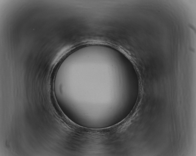X0000092320199200709141057