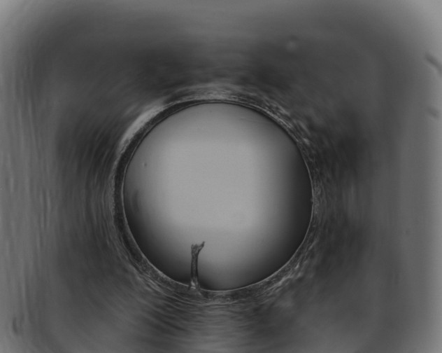 X0000092320200200709141057