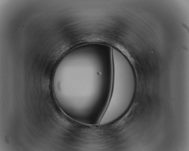 X0000092320201200709141057