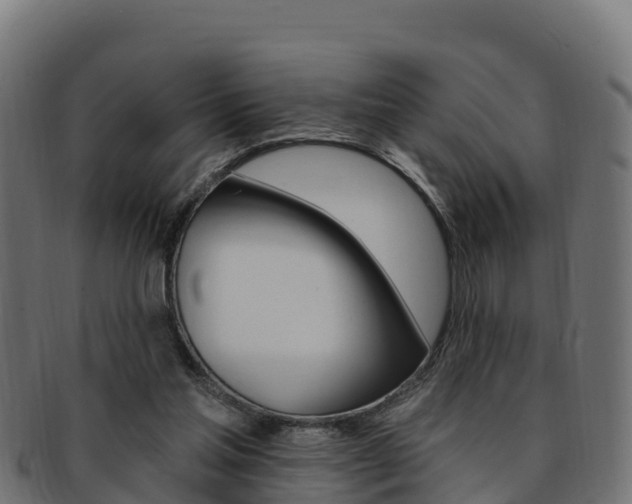 X0000092320205200709141057