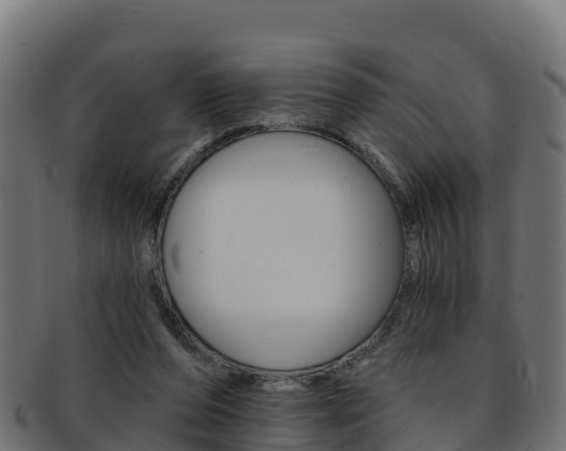X0000092320208200709141057