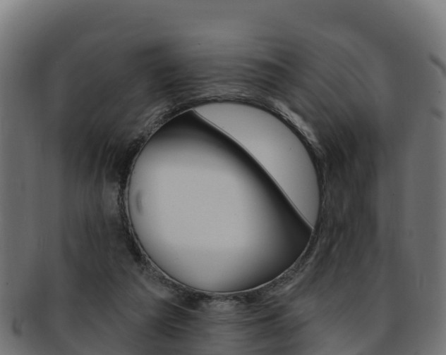 X0000092320209200709141057