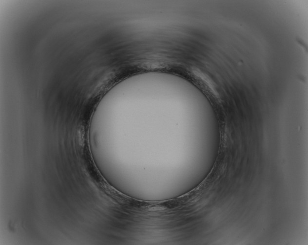 X0000092320210200709141057