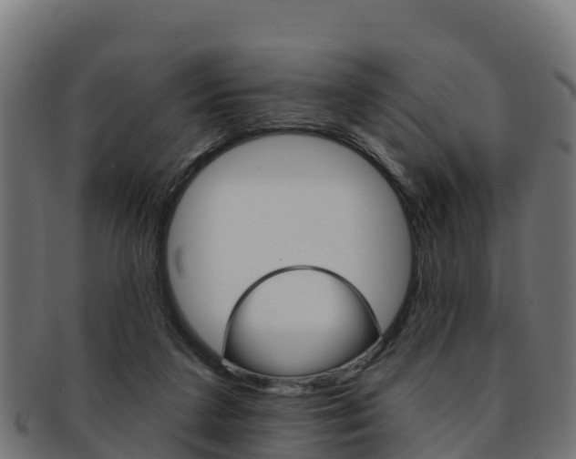 X0000092320211200709141057