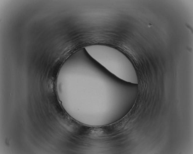 X0000092320214200709141057